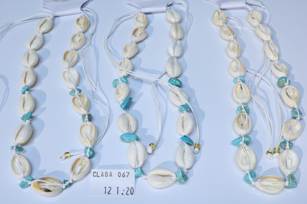 OGRLICA SA ŠKOLJKAMA