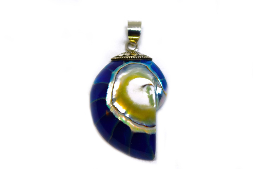 PRIVJESAK ZA OGRLICU