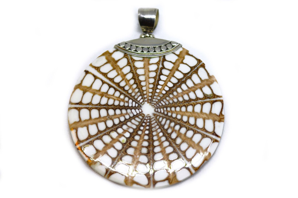 PRIVJESAK ZA OGRLICU