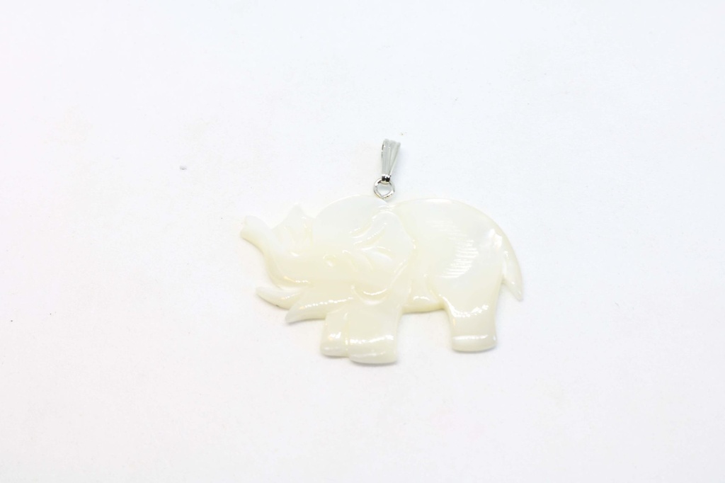 PRIVJESAK ZA OGRLICU