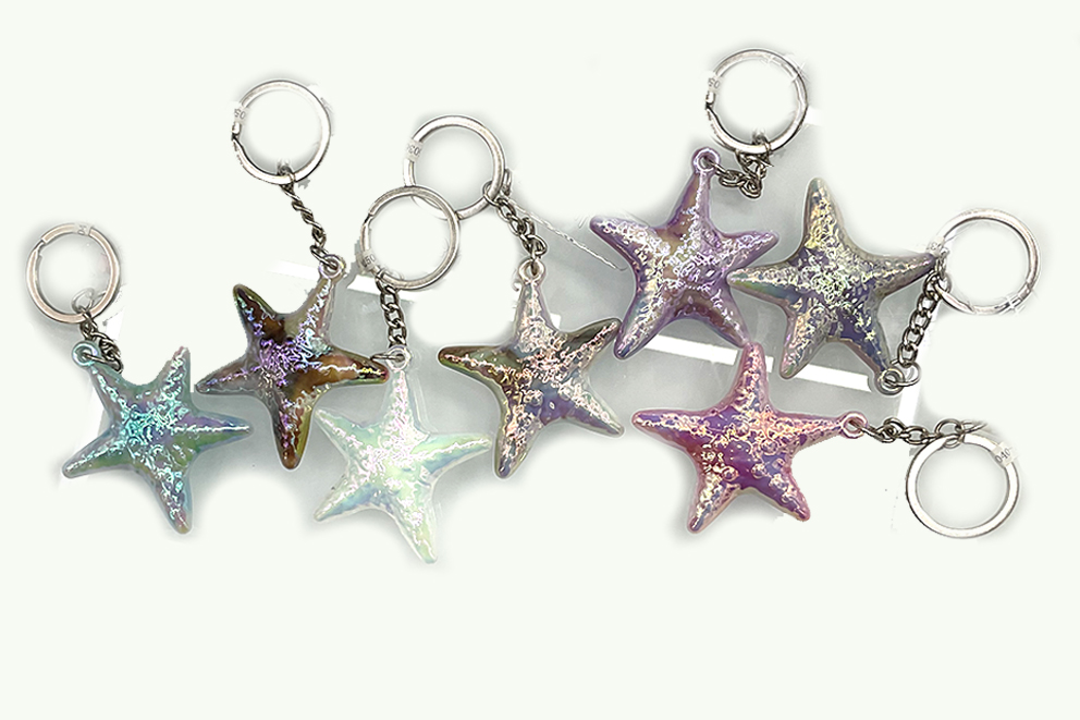 PORTACHIAVE PLASTICA CONCHIGLIA PERLATA 6 COL ASS (copia)